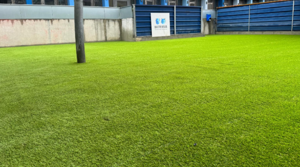 Artificial grass for dog kennels