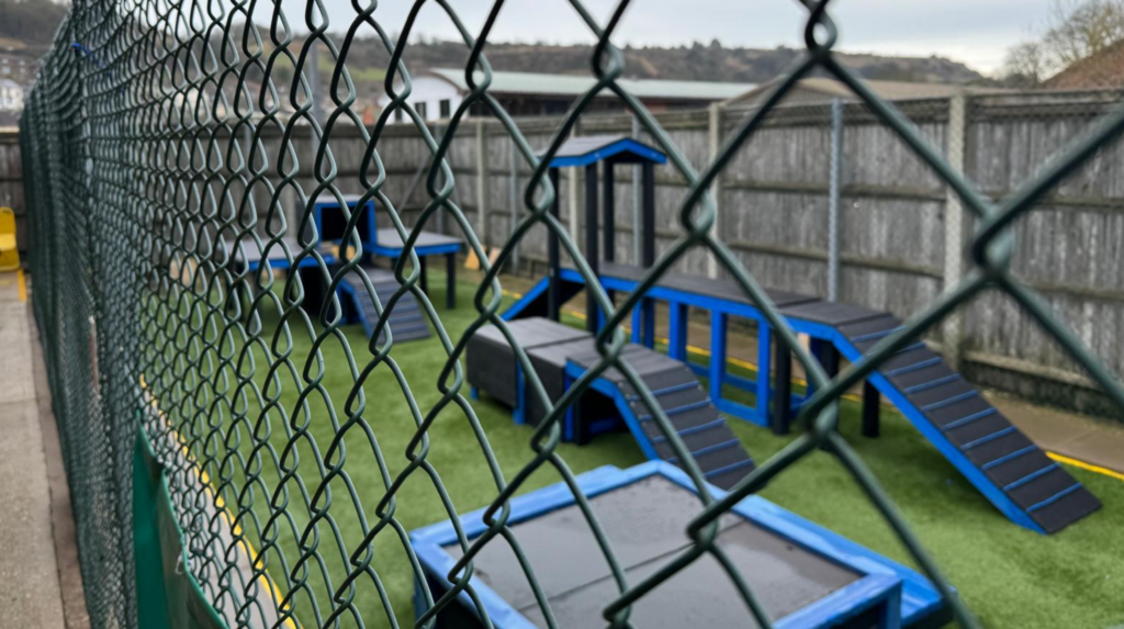 Artificial grass for dog runs