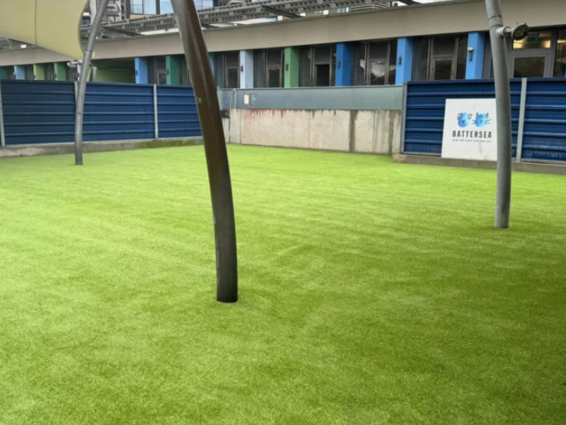 K9 Turf artificial grass for dogs installed in a commercial kennel or dog run