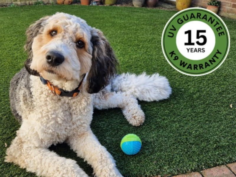 Durable K9 Turf artificial grass for dogs covered by 15-year UV warranty